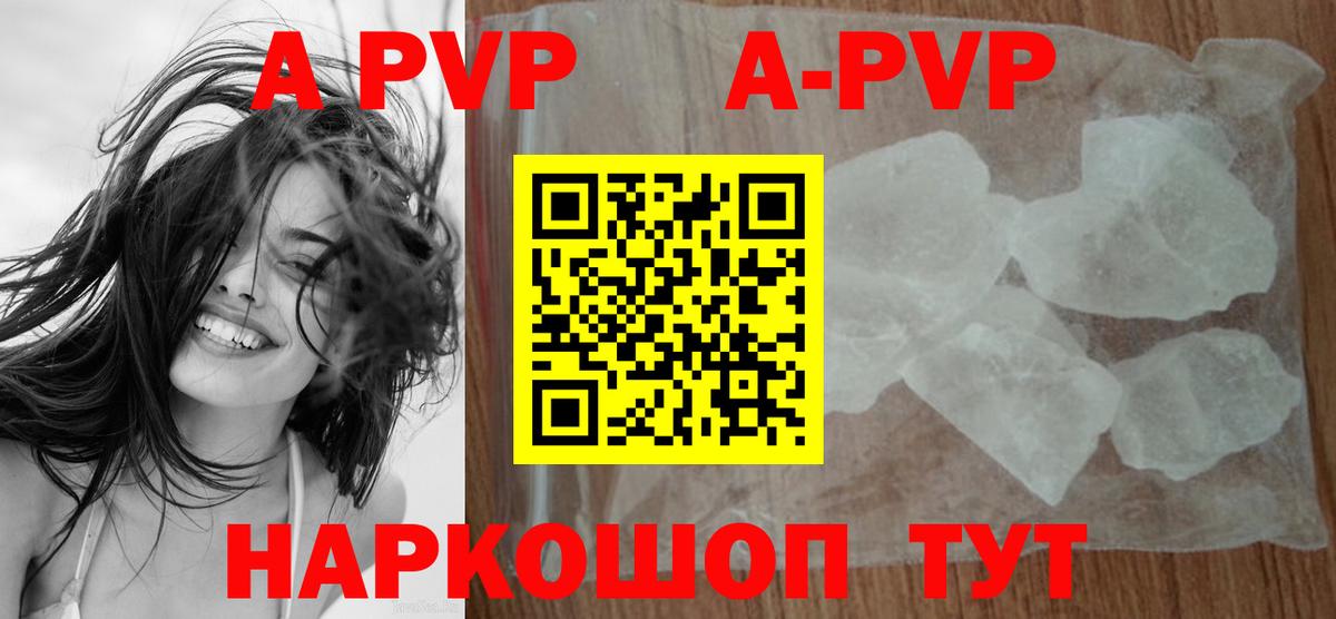 Alfa_PVP СК Зеленогорск