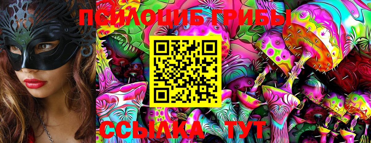 Галлюциногенные грибы Cubensis Зеленогорск